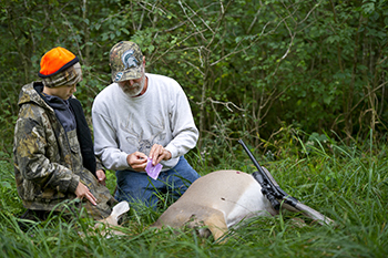 adult helps young hunter tag harvested deer