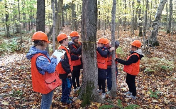 Sixth Graders in orange safety vests and hard hats gather around a tree to measure and examine it during a fWheels to Woods field trip. 