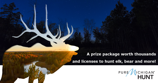 A Pure Michigan Hunt banner with an elk silhouette over forest. 