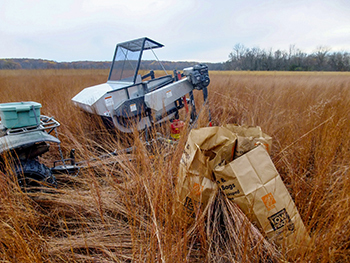 A seed stripper machine is shown in a field where seeds are being bagged.
