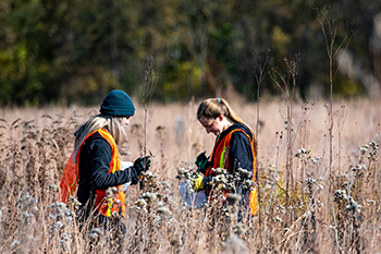 Volunteers are shown collecting seeds.