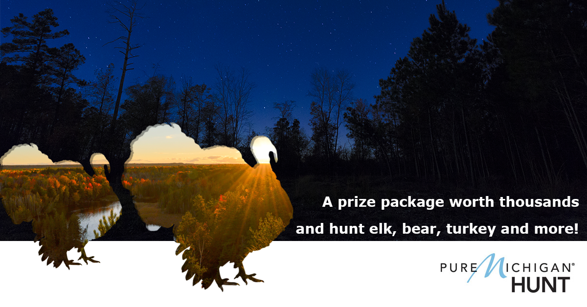 Gobble up Pure Michigan Hunt applications by Dec. 31