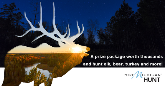 A antlered bull elk silhouette with a daytime scene, overlaid on a night scene.