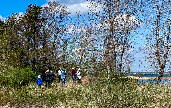 A group of birdwatchers explores a woodland area.