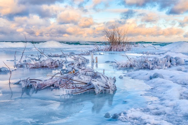 Bushes, trees and other vegetation on a Great Lakes shoreline are frozen in time, encapsulated by ice. 