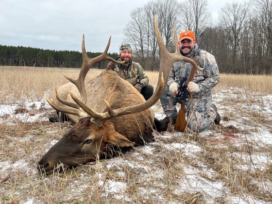 In a snow covered grassy opening, two hunters kneel behind a harvested bull elk with forest and cloudy skies in the background.