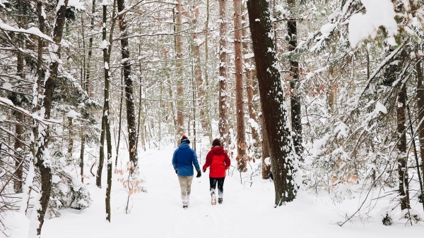 two people walking on snowy, wooded trail