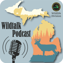 Wildtalk Podcast graphic including the Michigan Department of Natural Resources logo and the text Wildlife Division.