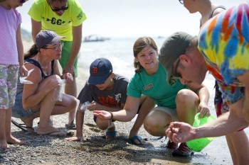 A small group of people crouch on a sandy shoreline, listening intently to an instructor who holds something in their hand.