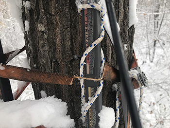 A close-up image shows a cut strap from a tree stand in Marquette County.