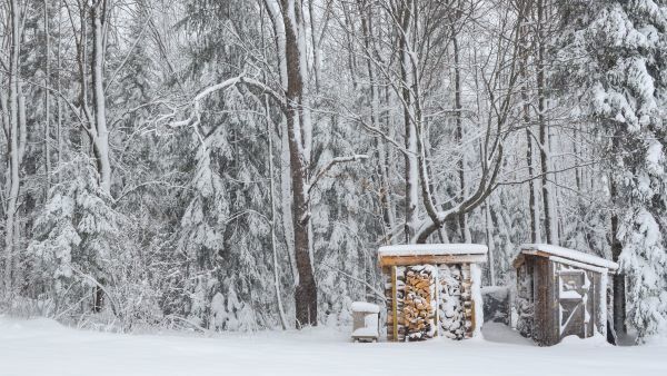 A lean-to shed full of firewood in a snowy forest