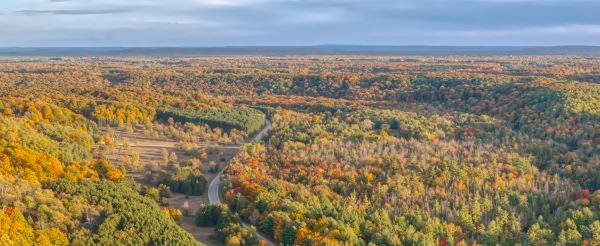 Aerial image of autumn forest and river