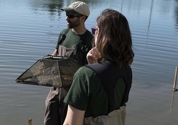 A man holding a small, trapezoid-shaped mesh trap and a woman, both in waders, stand in the water at the edge of a pond.