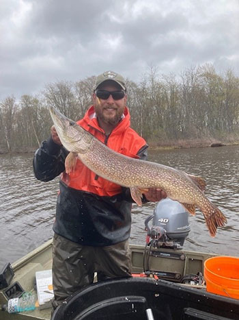 A fisheries staff member holding a northern pike in Otter Lake