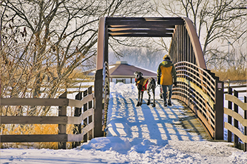 visitor walking dog on snow footbridge