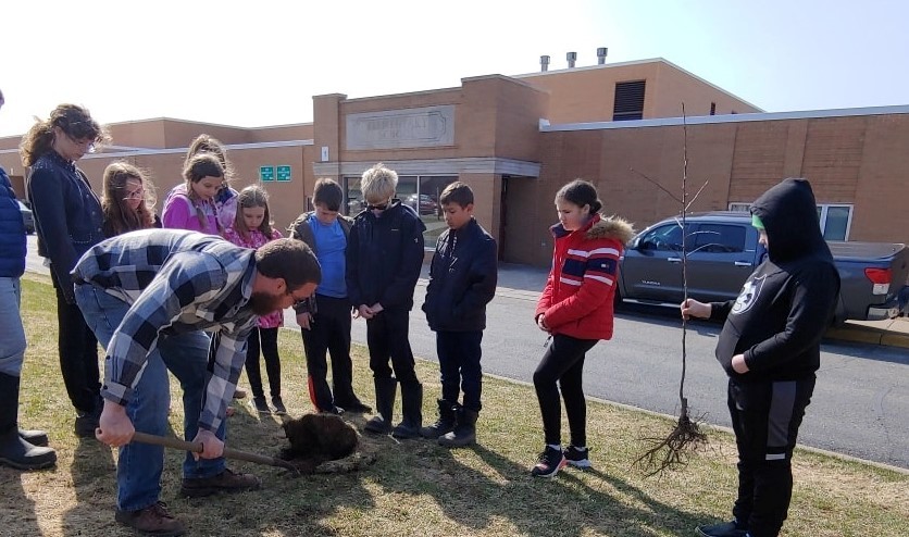 VanOss Forestry helps students from Forest Park School in Crystal Falls plant trees. 