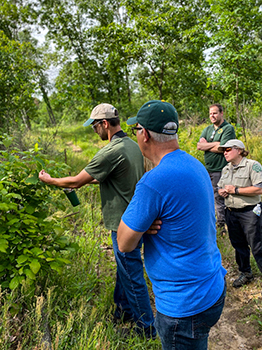 Michigan DNR staffers and a City of Portage park ranger are shown identifying plants in the field.