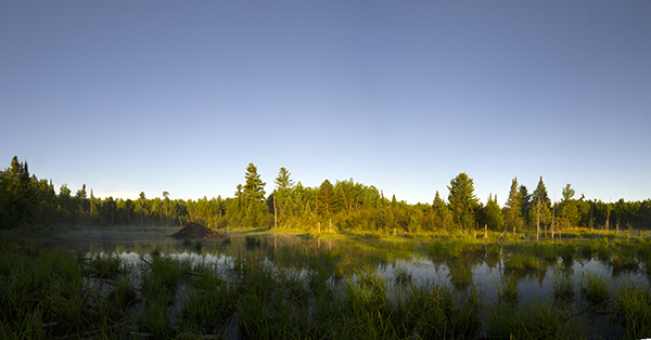 scenic view of a wetland area in Crawford County