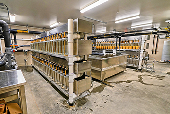 An incubation cooling room at a Michigan fish hatchery is shown.