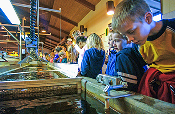 A group of schoolchildren visit a Michigan state fish hatchery.
