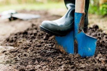 A boot drives a bright blue shovel into muddy soil.