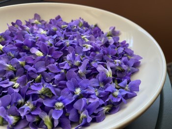 Deep purple petals of fresh-picked wild violets contrasts nicely with the white ceramic bowl they lie in.