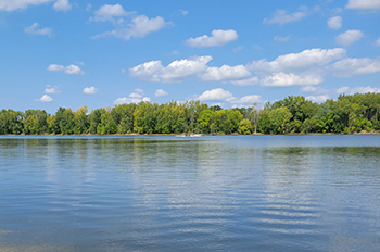 lake with tree-lined shoreline