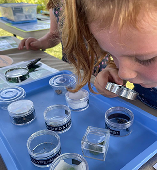 child looking through magnifying glass at specimens in small containers