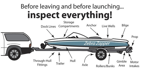 A drawing of a boat on a trailer noting key locations to check for and remove aquatic species.