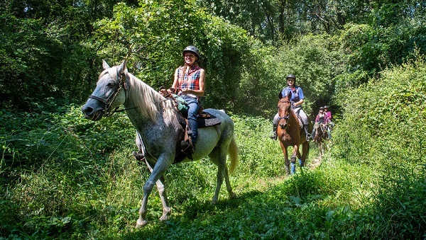 People dressed in summer tops and jeans, wearing helmets, ride four horses single file down a grassy, forested, sunlit trail