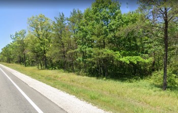 Forested land off the side of a highway