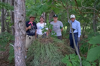 volunteers in forested area