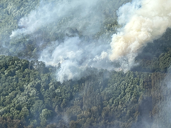 aerial photo of smoke plume from 4 Corners Fire