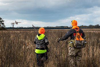 two hunters in field looking at pheasant in flight