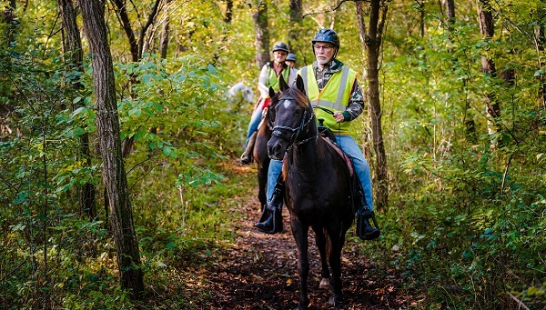 man in yellow safety vest and helmet on horseback leads a line of riders down a thickly forested trail