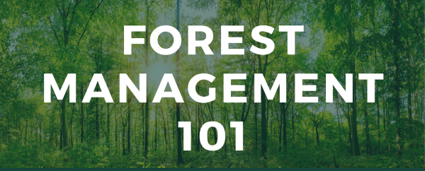 Forest Management 101 text on a green forest background