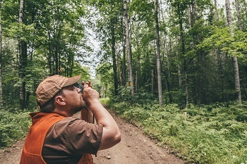 a man in a tan ballcap and shirt and orange mesh vest looks through a camera up toward the sky, surrounded by lush green forest