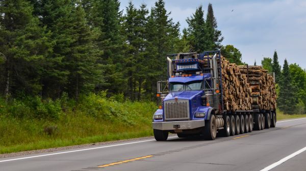A blue truck loaded with logs rolls down an Upper Peninsula road