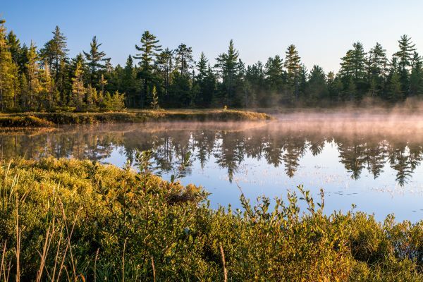 Morning mist rises from a Michigan Upper Peninsula wetland