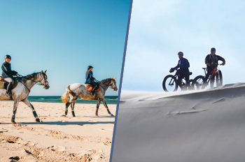 horses riding Lake Michigan shoreline; fat-tire bikes resting on dunes