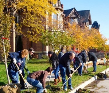 A group of people plant trees in an urban area