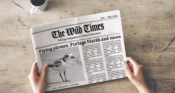 Hands holding a newspaper with a photo of a piping plover with the headline, "Piping plovers, Portage Marsh and more".