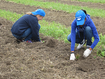 Two students dig in the dirt getting ready to plant.