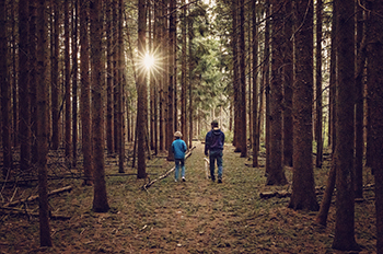 father and son walking on trail surrounded by pines