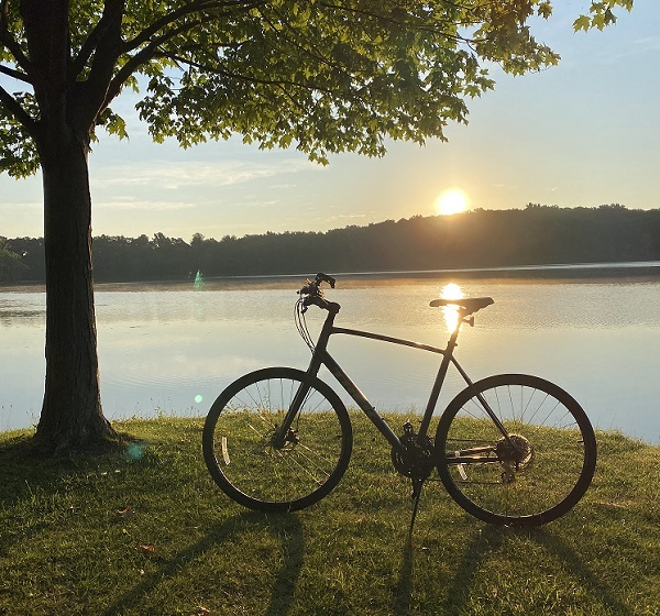 The bright, setting sun casts long shadows over an upright bicycle parked beneath a full, green tree along a large lake