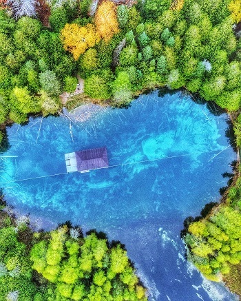 aerial view of a bright-blue, heart-shaped body of water surrounded by full, lush trees of bright greens and yellows