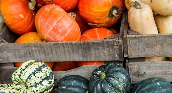 worn wooden crates full of small orange pumpkins, green-striped acorn squash and pale tan butternut squash