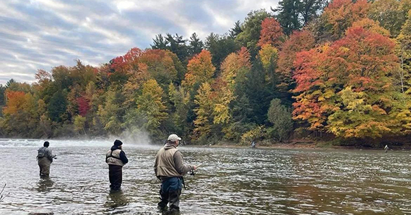 three anglers fishing in stream with fall colors on shoreline