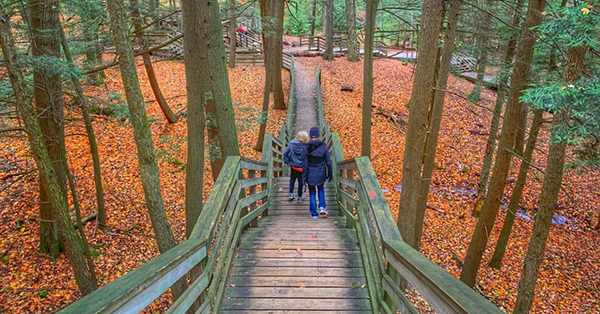 two people walking down stairs in middle of fall forest