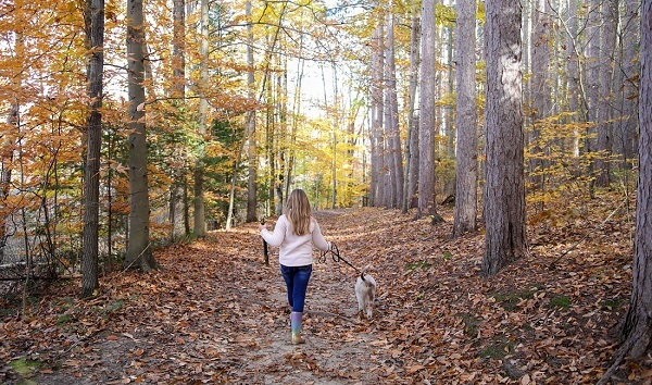 a woman with long blonde hair, in jeans, boots and pink jacket, walks a leashed, tan, fluffy dog down a leaf-littered autumn trail